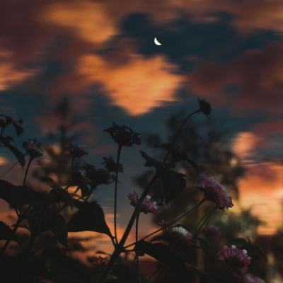 江南官方网站下载截图