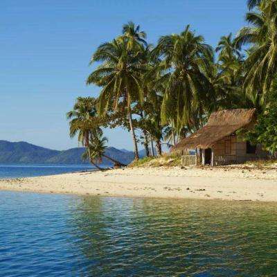 bob体体育app下载