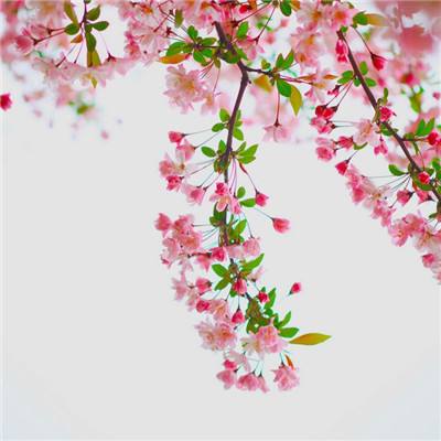 云开·全站APP下载