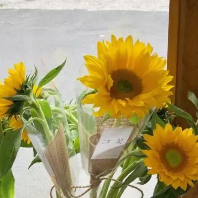 博鱼官方体育登录入口